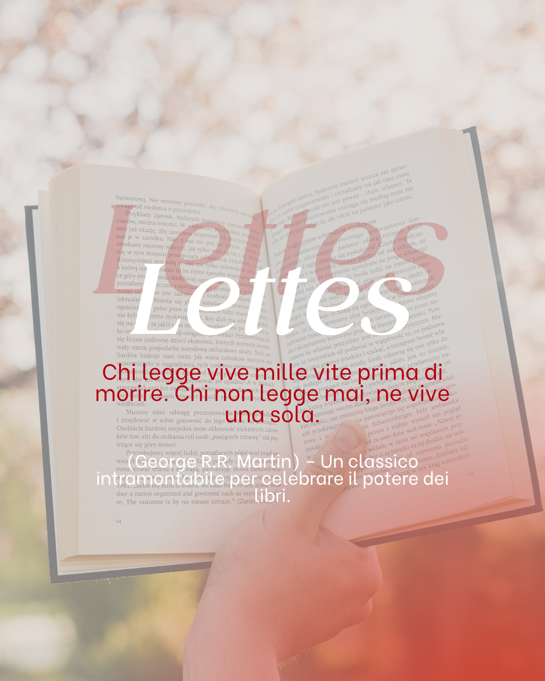 Il Lettore